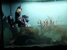 Finally tearing down ugly 57g, building new 36g to replace it!