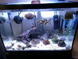 Rebuilding A 20Gal After A Move