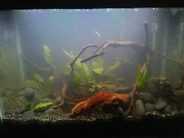20G High Questions/Ideas/Suggestions