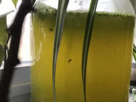 Scud farm