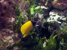 More pics from London Aquarium