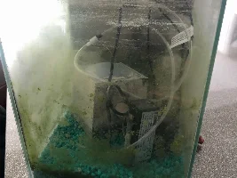 Digging out my old Fluval Chi - Ideas Please :)
