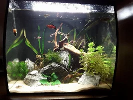 New plants 'melting'?