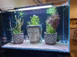Breeding rack
