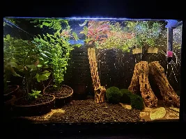 Another Small Setup