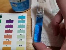 40 gal stocking ideas