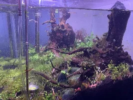 Aquascaper 600