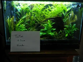 June 2015 - Tank Of The Month Competition Entries