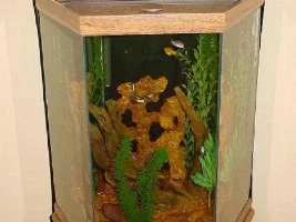 The tank