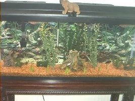 My FishyTanks