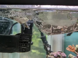 Dipping Into The Salty Side