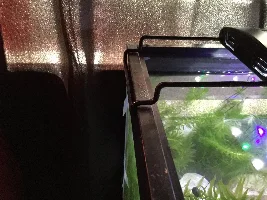 20g long reworked... sort of...