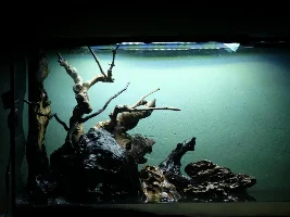 Finally tearing down ugly 57g, building new 36g to replace it!