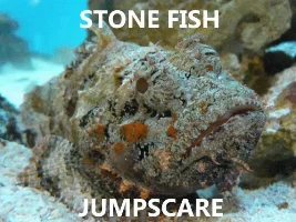 Scary fish aaa
