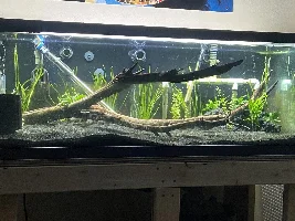 First Attempt at Planting