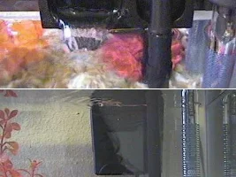 strong current