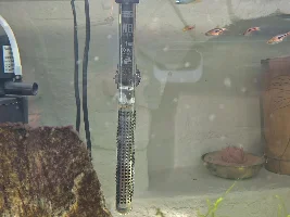 2 x heaters failed in 3 days