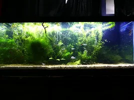 Let's see your long and shallows