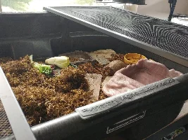 180 gallon Box Turtle Enclosure