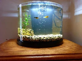 New Tank Setup