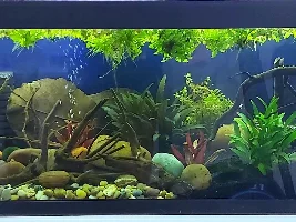 River Creek 22g