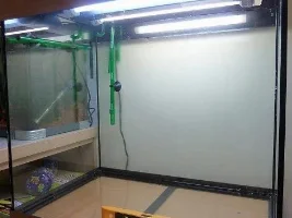 Spray Bar Position
