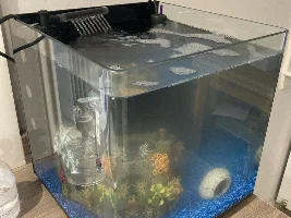 First timer…..fish quarantine