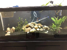 Adding or replacing light for 75gallon tank