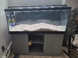 Setting up a new tank with fish from existing tank