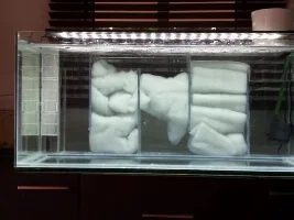 My New Aquarium