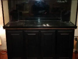 New To Saltwater