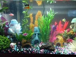 Hello, new to the hobby and here to learn and share :)