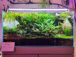 VOTE NOW - November 2023 Tank of the Month contest (31 gal & larger)
