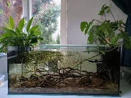 "Sticks" tank