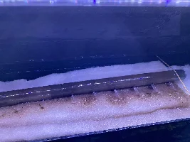 Help with cycling my new tank!