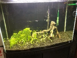Hi all, and a quick Q about lighting if I may?