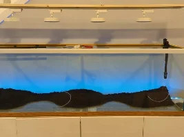 Update on the avatar tank. Water fall up and running. :)