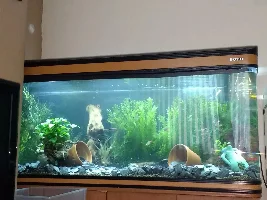 New here