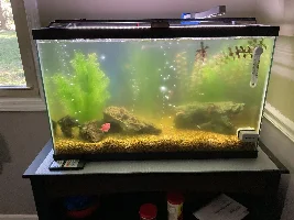 Aqueon 200g