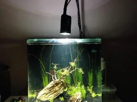 My New Aqua One Aquanano 40 - Trials And Errors!