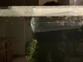139.2L (36.7 gallon) aquarium journal