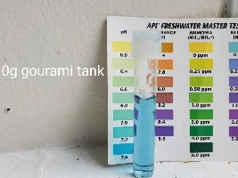 Increased water pH shenanigans continues unabated