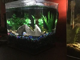 How to you like my Re-Scape?
