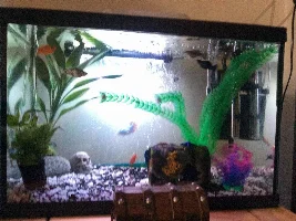 fishyfun&fans says Hi!