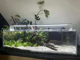 ADA 60F v2.0