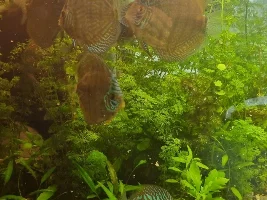 Water changing advice