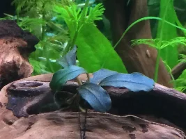 Leaking Tank Leads To New Beginnings