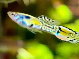 A Few Random Photos