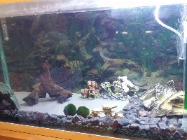 Cannister filter into under-gravel filter?