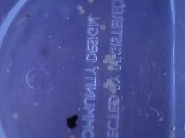 Help! My cories spawned! What do I do??